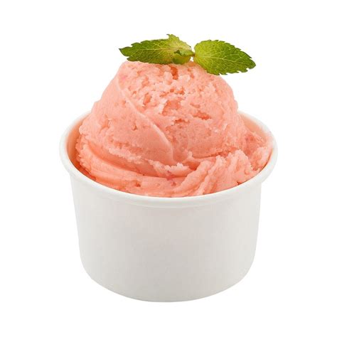 Buy 200-CT Disposable White 3-OZ Ice Cream Cups - Coppetta Small Hot and Cold To Go Cups ...