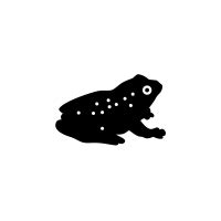 Frog Icon - Free PNG & SVG 104720 - Noun Project