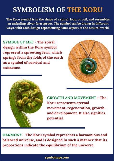 Koru – Meaning and Symbolism - Symbol Sage