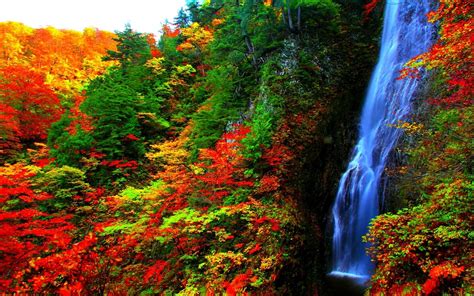 Download Fall Forest Nature Waterfall Wallpaper