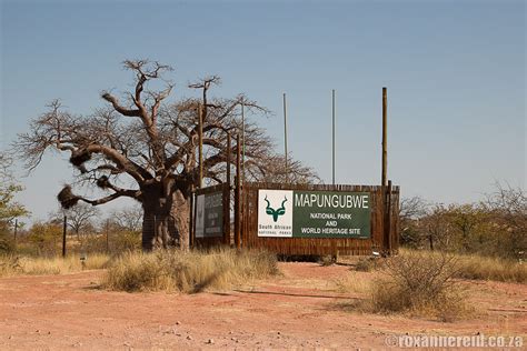 Mapungubwe National Park: everything you need to know - Roxanne Reid - Africa Addict