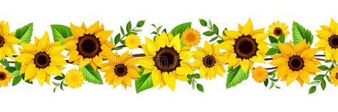 Tall Sunflower Clipart Borders