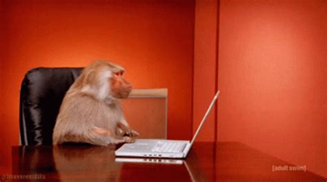 Monkey Laptop GIF - Monkey Laptop Adult Swim - Discover & Share GIFs