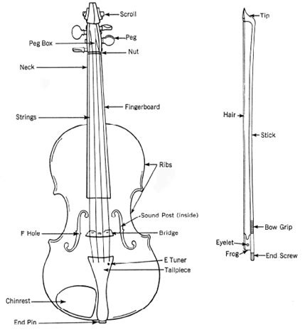 Online Carnatic Music: Images of Violin - Parts Name