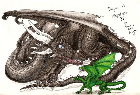 Dragons of Alagaesia II by Saeros2006 on DeviantArt