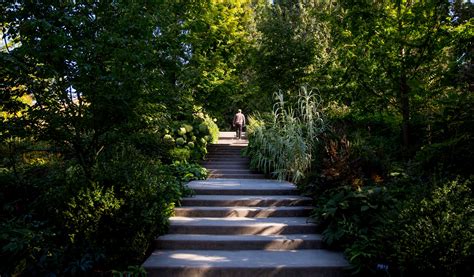 Photos: Bellevue Botanical Gardens is one of the prettiest places to ...