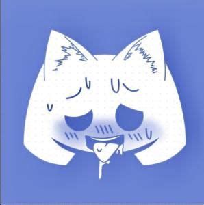 Cat Pfp For Discord