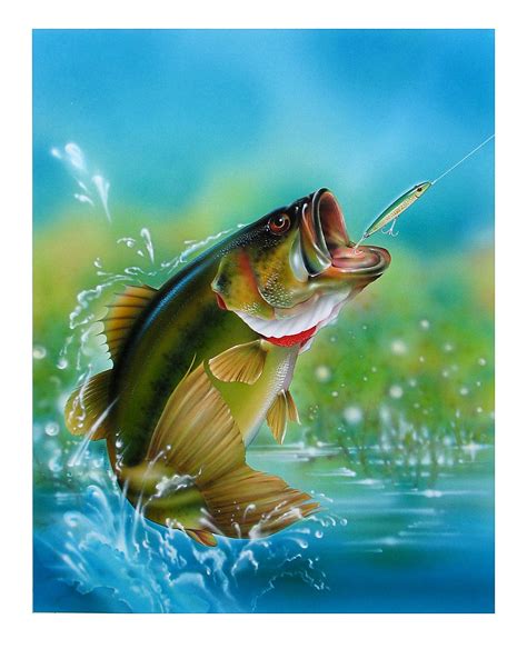 🔥 [76+] Largemouth Bass Wallpapers | WallpaperSafari