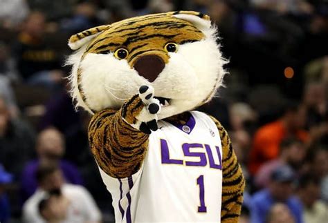 Why Is LSU's Mascot Named Mike?