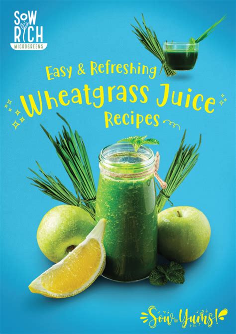 Wheatgrass Juice Recipe | Dandk Organizer