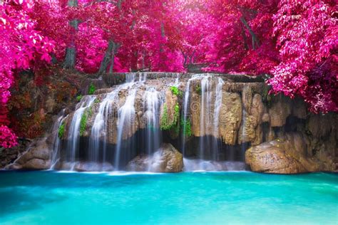 Jungle Waterfall stock image. Image of cascade, lake - 15507391