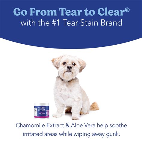 Angels' Eyes Gentle Tear Stain Wipes 100ct for Dogs and Cats – Angels Eyes Online