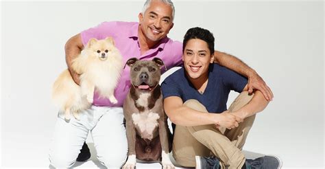 Cesar Millan's Dog Nation - streaming online