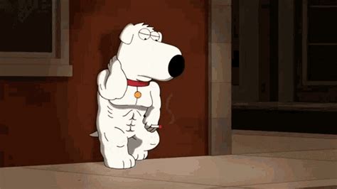 Rizz Family Guy GIF - Rizz Family Guy Brian - Discover & Share GIFs