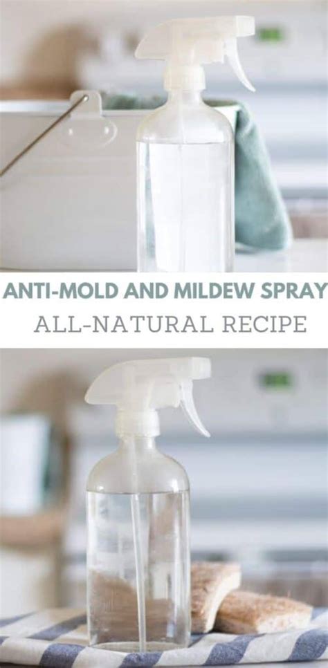 DIY Anti-Mold Spray - Our Oily House