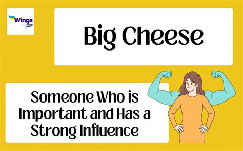 Big Cheese Meaning, Examples, Synonyms |Leverage Edu