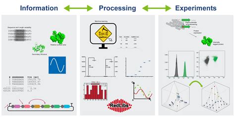 Biosystems engineering – Bioprocess Laboratory | ETH Zurich