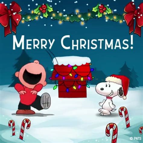 Snoopy Merry Christmas 🎄 | Merry christmas charlie brown, Snoopy christmas, Snoopy christmas images