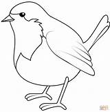 Christmas Robin coloring page  Free Printable Coloring Pages sketch template