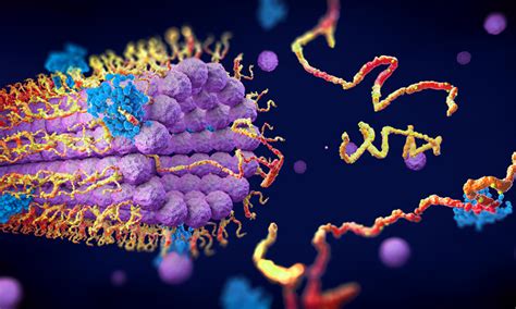 New AI model to make enzyme engineering more efficient