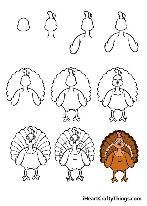 Turkey Drawing - How To Draw A Turkey Step By Step!