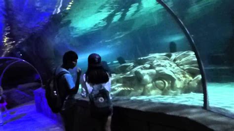 SeaLife Aquarium at Mall of America - YouTube