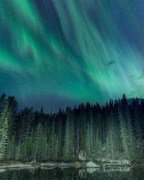 Northern Lights In The Yukon + Aurora Borealis Photography Tips | Northern lights photography ...