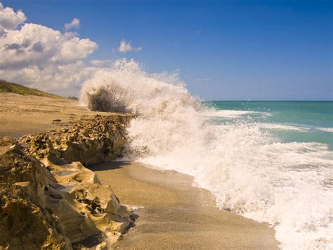 11 Best Things To Do in Jupiter, Florida - TripsToDiscover.com