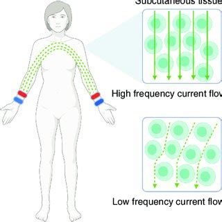 Bioimpedance spectroscopy measurement. In high and low frequency, an ...