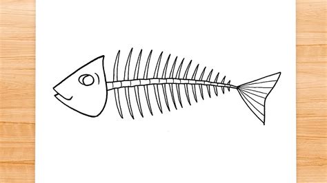 How to draw Fish Skeleton - YouTube