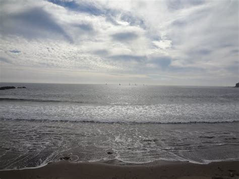 Cabrillo Beach Pier - Active Life - San Pedro, CA - Yelp