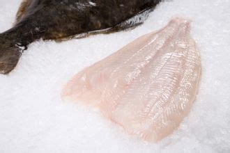 Fresh Wild Canadian Turbot Fillet