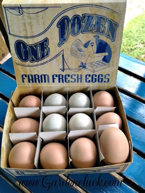 Vintage Egg Cartons for Farmhouse Decor | Farm fresh eggs, Egg carton ...