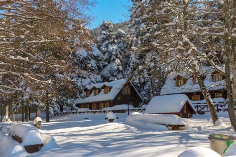 Premium Photo | Golcuk / Bolu / Turkey, winter season snow landscape