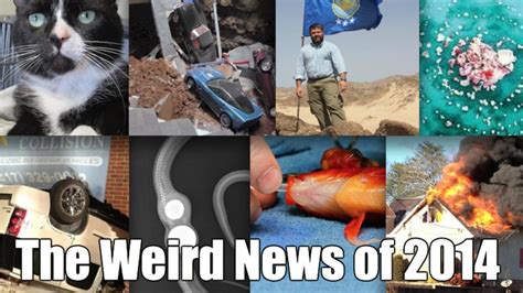 Miss Cellania’s Top 20 Weird News Stories of 2014 | Mental Floss