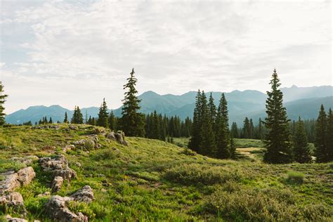 Camping in the San Juan Mountains — Jessie May