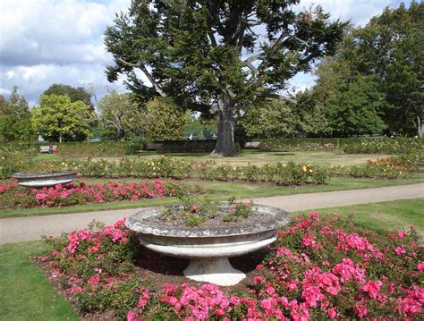 Greenwich Park Rose Garden | The meridian cuts across this f… | Flickr