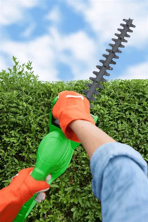 Corded vs Cordless Hedge Trimmer - The All Electric Lawn