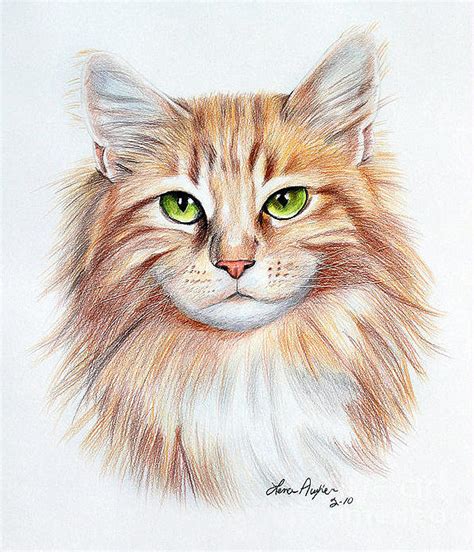 Calico Cat Drawing by Lena Auxier - Pixels