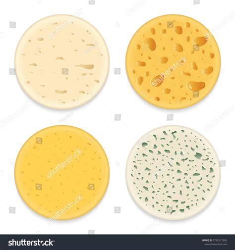 Set Vector Different Types Cheese Realistic Stock Vector (Royalty Free ...