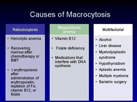 Liver Disease Macrocytic Anemia - Captions Hunter