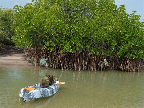 KAYAKING - AQUA OUTBACK