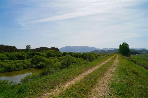 Rural Road Landscape - Free photo on Pixabay - Pixabay