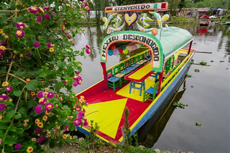 Enamórate de Xochimilco con un tour inolvidable y quesadillas ...