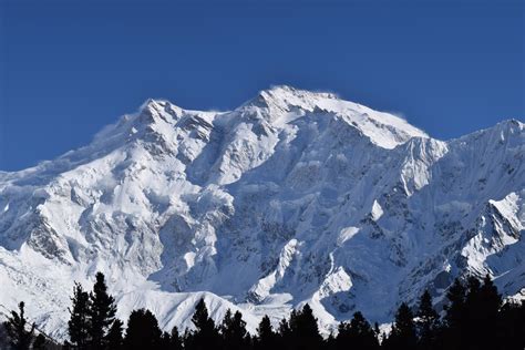 Nanga Parbat, aka The Killer Mountain. I took this photo from Fairy Meadows, pre-base camp for ...