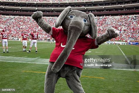 871 Alabama Football Mascot Stock Photos, High-Res Pictures, and Images - Getty Images