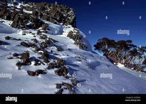 SNOW COVERED MOUNT BEAUTY IN THE VICTORIAN ALPS, AUSTRALIA Stock Photo - Alamy