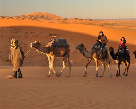 [SALE] Thar Desert Camel Safari from Jodhpur Sale 22% - Ticket KD