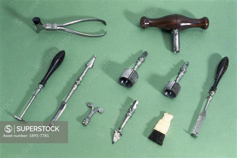 Veterinary instruments. - SuperStock