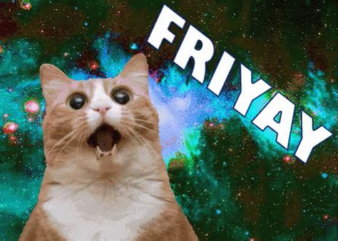 Friyay GIFs | GIFDB.com